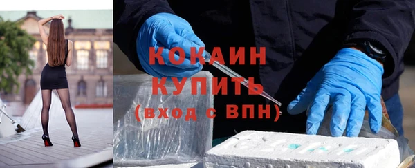 дмт Абаза