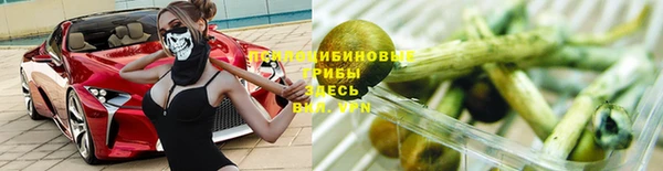 дмт Абаза