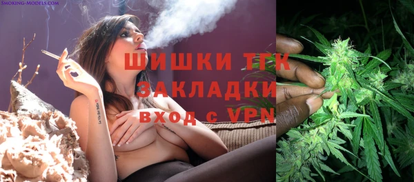 дмт Абаза
