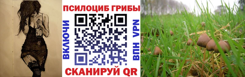 Псилоцибиновые грибы GOLDEN TEACHER  Туран 
