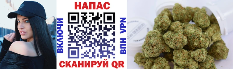 даркнет телеграм  Туран  Конопля план 